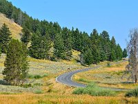 Grand Loop Road, East of Mammoth, Yellowstone National Park
