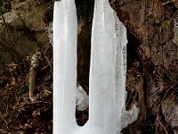 DSC1530