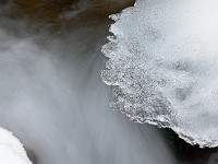 DSC1575