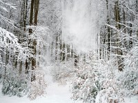 DSC1869