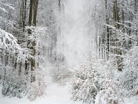 DSC1870