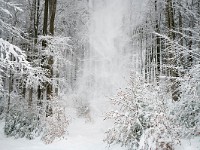 DSC1871