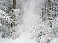 DSC1872